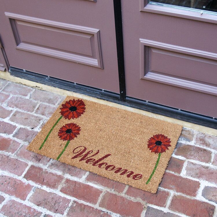 FieldOfRedDaisies Action 04 750x750 1 field of red daisy in front of double door