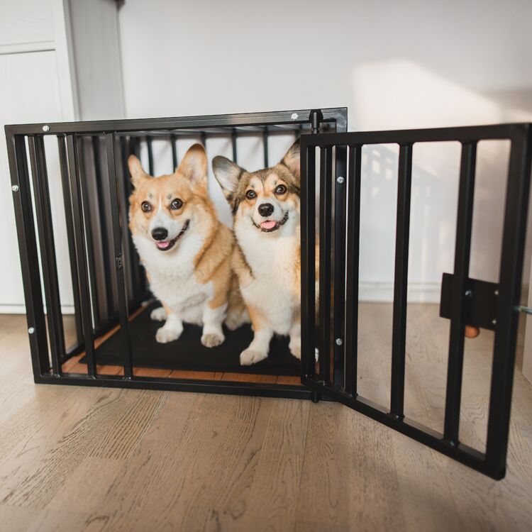 Custom-Cut-Mat-in-Dog-Kennel-with-two-dogs Custom Cut Mat in Dog Kennel with Two Dogs